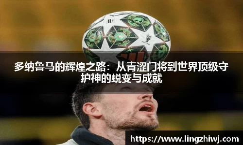 德赢官方